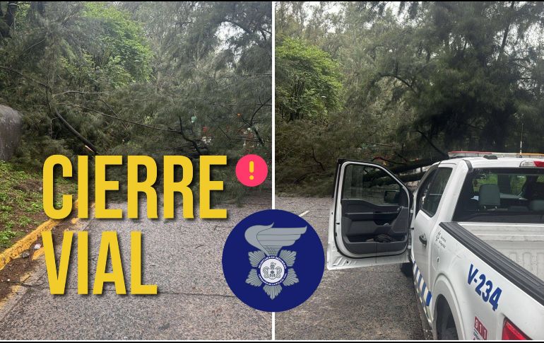 Los tres carriles de sur a norte de avenida Patria se encuentran cerrados por la caída de un árbol. ESPECIAL / FACEBOOK Policía Vial Jalisco