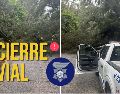 Los tres carriles de sur a norte de avenida Patria se encuentran cerrados por la caída de un árbol. ESPECIAL / FACEBOOK Policía Vial Jalisco
