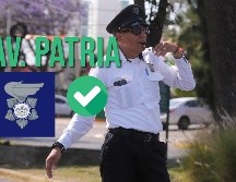 Un arbol caído a la altura del Bosque Los Colomos provocó el cierre de avenida Patria por unos momentos. EL INFORMADOR / ARCHIVO