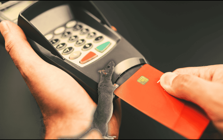 Aunque las terminales móviles facilitan las compras, es fundamental no perder de vista la tarjeta y exigir siempre el comprobante de la transacción. ESPECIAL / CANVA