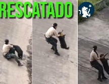 El perro se encontraba al borde de la pendiente del canal. ESPECIAL / FACEBOOK Policía de Guadalajara