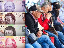 Se recomienda a los beneficiarios de la pensión mantenerse informados a través de los canales oficiales de la Secretaría del Bienestar y de la titular Ariadna Montiel Reyes. EL INFORMADOR / A. Navarro