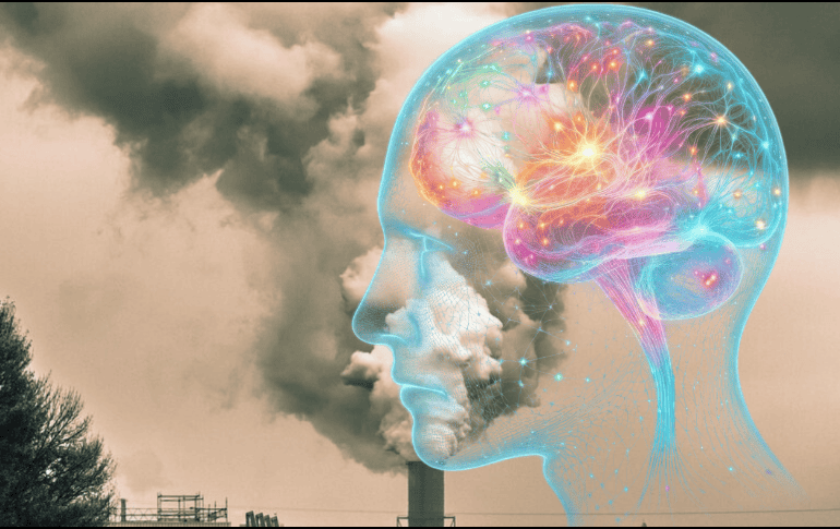La exposición prolongada a contaminantes atmosféricos puede ralentizar el procesamiento mental, deteriorar la memoria y provocar cambios en la estructura del cerebro en la vejez. ESPECIAL
