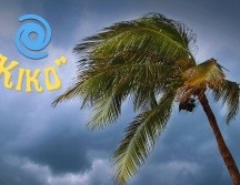 Aunque es pronto para nombrarlo, de continuar su evolución, el primer fenómeno podría formar el siguiente ciclón tropical de la temporada, que llevaría por nombre 