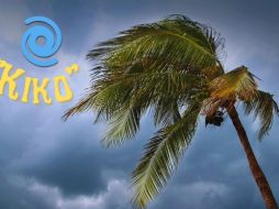 Aunque es pronto para nombrarlo, de continuar su evolución, el primer fenómeno podría formar el siguiente ciclón tropical de la temporada, que llevaría por nombre 