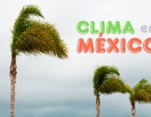 Las rachas fuertes de viento podrían ocasionar la caída de árboles y anuncios publicitarios. ESPECIAL / CANVA