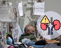 El fármaco aumenta la producción de espermidina, lo que inhibe el daño renal adicional. EL INFORMADOR / ARCHIVO