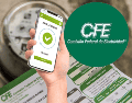 Pagar por el servicio de electricidad en tiempo y forma es fundamental para evitar la suspensión del servicio y la generación de recargos por mora. EL INFORMADOR/ARCHIVO ESPECIAL/CFE