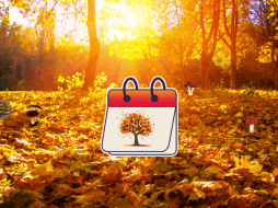 En esta etapa del año, los días se hacen más cortos y oscurece más temprano. CANVA