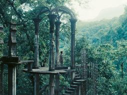 La cinta se adentra en un periodo crucial de la creadora inglesa que encontró en México; particularmente en Xilitla, San Luis Potosí un refugio artístico y vital. ESPECIAL