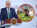 Berdegué aseguró que en este primer grupo de moléculas prohibidas están aquellas identificadas en convenios internacionales de los que México es parte. SUN / F. ROSAS / ARCHIVO