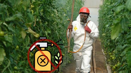 México anunció la prohibición por decreto de 35 moléculas de plaguicidas. ESPECIAL / GOBIERNO DE MÉXICO