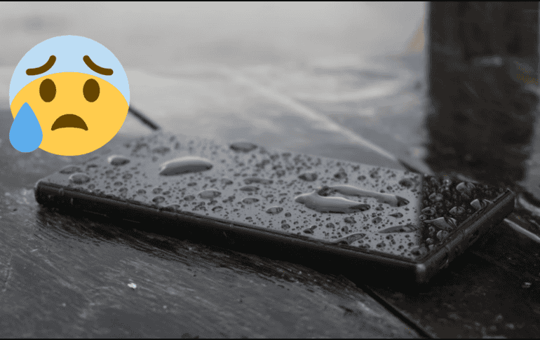 ¿Cómo secar un celular mojado? UNSPLASH / S. MOJUMDER
