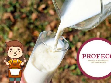 La Profeco realizó un análisis de distinstas marcas de leche para garantizar que los productos cumplan con los parámetros de calidad y seguridad. Canva/ESPECIAL