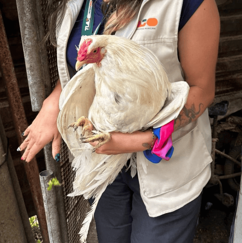  ESPECIAL / Fiscalía del Estado de Jalisco 