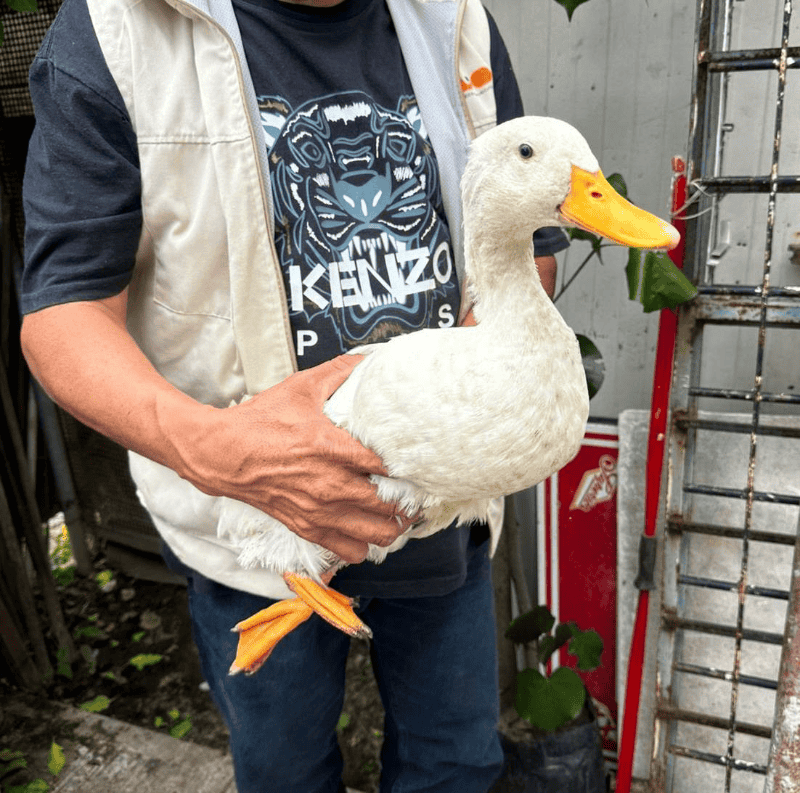  ESPECIAL / Fiscalía del Estado de Jalisco  