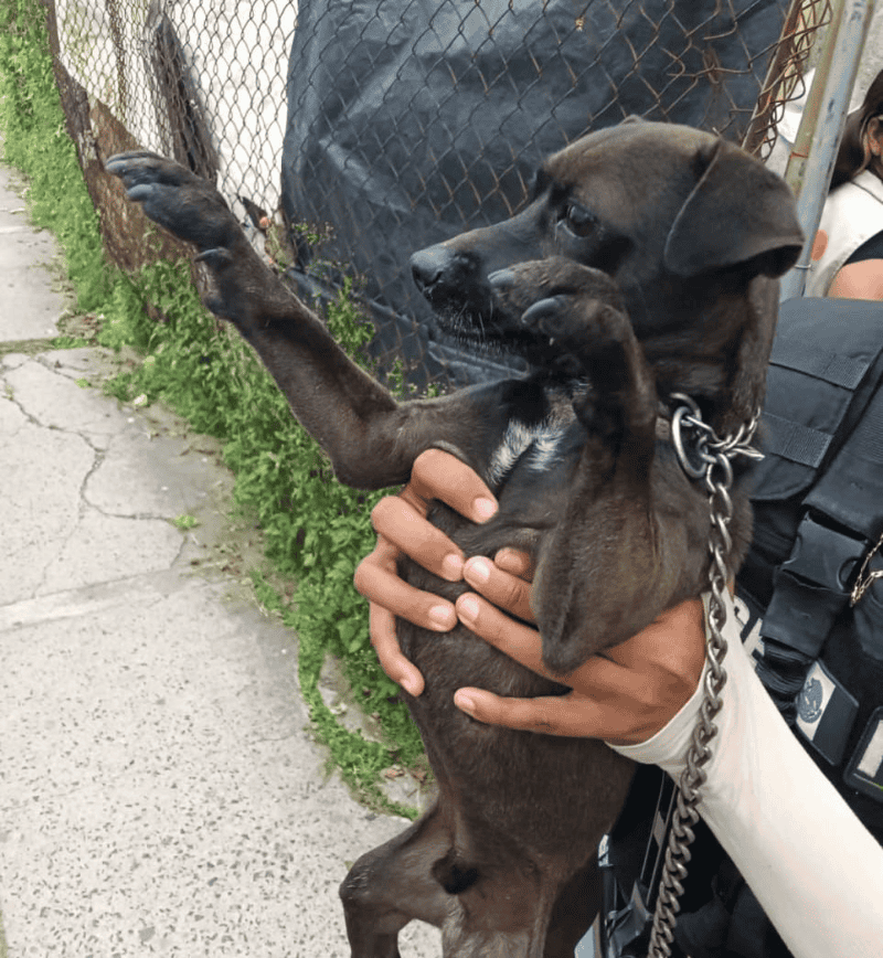  ESPECIAL / Fiscalía del Estado de Jalisco   