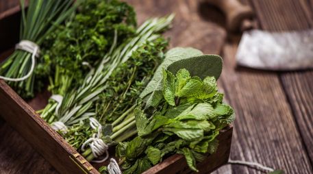 Las plantas aromáticas no solo mejoran el sabor de los alimentos, también convierten la cocina en un lugar lleno de vida, color y frescura. ESPECIAL / CANVA