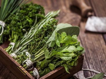 Las plantas aromáticas no solo mejoran el sabor de los alimentos, también convierten la cocina en un lugar lleno de vida, color y frescura. ESPECIAL / CANVA