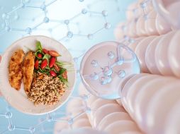 Incorporar estos alimentos en tu dieta diaria no solo ayuda a estimular la producción natural de colágeno, sino que también mejora la salud integral. CANVA