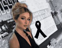 El video difundido no solo mostró el estado del salón, sino que también reavivó la indignación entre los seguidores de la joven, quienes exigen justicia. ESPECIAL/TikTik @amelie.moonlight3 /Instagram ,qv___marquez