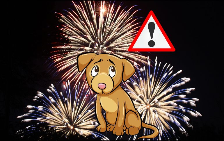 Si tienes un perro y deseas protegerlo durante las fiestas patrias de este mes de septiembre, aquí te compartimos algunos consejos prácticos. ESPECIAL / CANVA