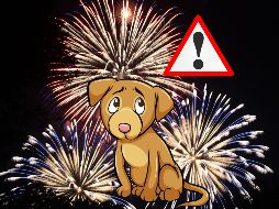 Si tienes un perro y deseas protegerlo durante las fiestas patrias de este mes de septiembre, aquí te compartimos algunos consejos prácticos. ESPECIAL / CANVA