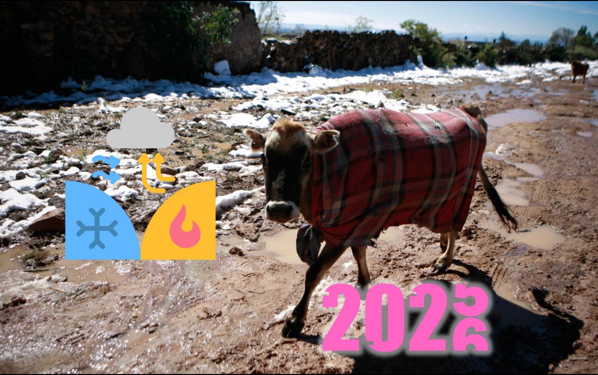 En promedio, se registran alrededor de 50 frentes fríos cada año, con una duración de entre 3 y 7 días. ESPECIAL / EL INFORMADOR y CANVA