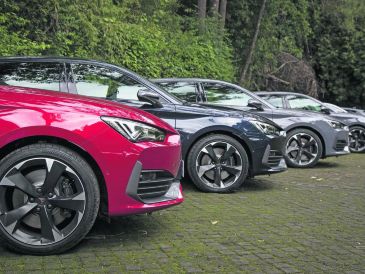 También señalaron que se pondrá en riesgo la inversión realizada por las empresas distribuidoras de capital nacional. SUN/ARCHIVO