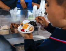 Conoce cómo preparar un lunch adecuado para tus hijos. EL INFORMADOR / ARCHIVO