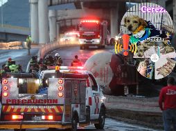 Esto es lo último que se sabe de 