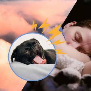 Por este motivo sientes que "caes al vacío" cuando intentas dormir