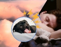 Estas sacudidas pueden ir acompañadas de la sensación de caer, lo que a menudo provoca que te despiertes asustado. UNSPLASH / H. Dønnestad / charlesdeluvio / Shane