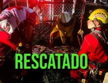 El sujeto había caído cerca de 25 metros a través de una excavación profunda en el lugar. ESPECIAL / Protección Civil y Bomberos de Zapopan