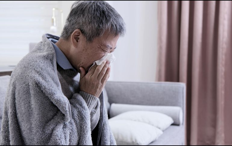 El estudio reveló que la producción altamente elevada de ApoD con la edad en el pulmón genera un daño tisular extenso (en los tejidos) durante la infección que reduce la respuesta antiviral protectora del organismo. ESPECIAL / CANVA