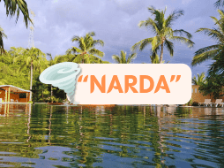 Hasta el momento, en la cuenca del Pacífico se han formado 13 ciclones tropicales, de hasta los 20 que se esperan. EL INFORMADOR / O. Álvarez