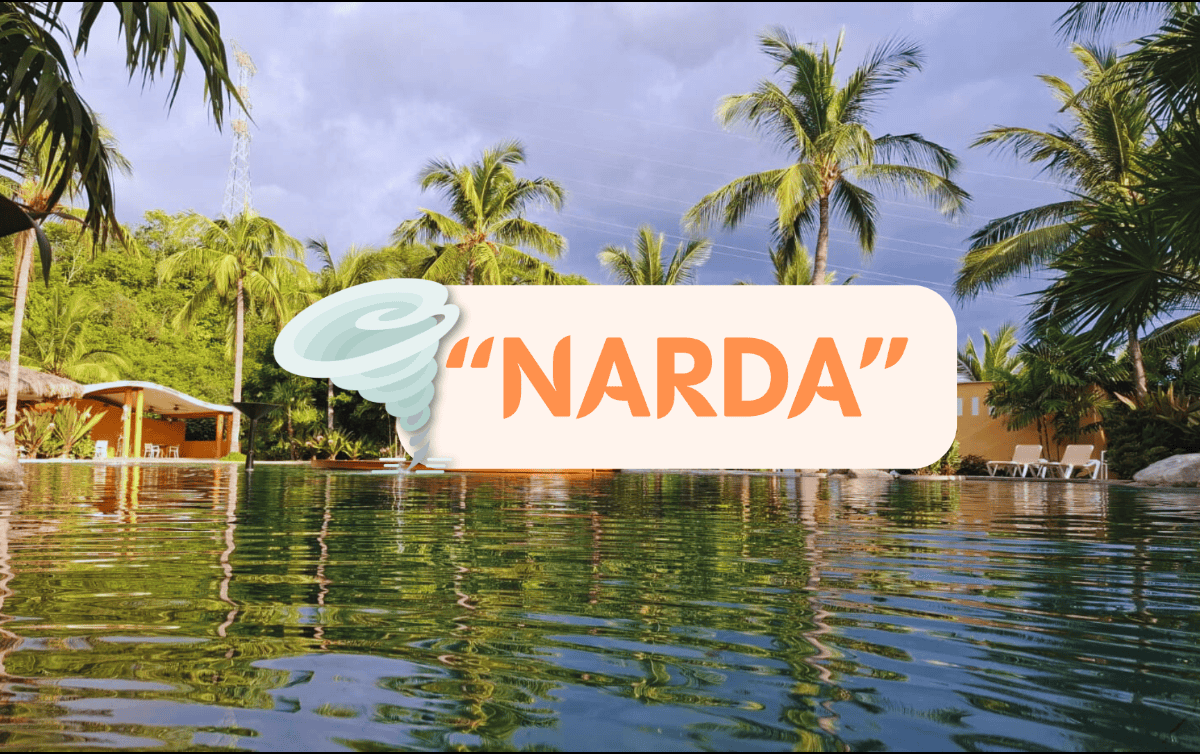 Hasta el momento, en la cuenca del Pacífico se han formado 13 ciclones tropicales, de hasta los 20 que se esperan. EL INFORMADOR / O. Álvarez