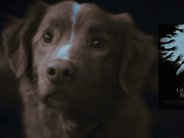 Una nueva película de terror llega a México. ESPECIAL / YOUTUBE / IFC FILMS / X / @shudder