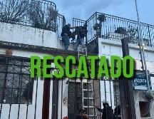 Un perro fue rescatado luego de que fuese abandonado en un domicilio de la colonia Moderna. ESPECIAL