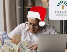 El Instituto Nacional de las Personas Adultas Mayores tiene distintos programas para apoyar a este grupo de la población en México. ESPECIAL / CANVA