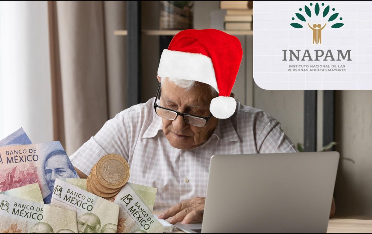 El Instituto Nacional de las Personas Adultas Mayores tiene distintos programas para apoyar a este grupo de la población en México. ESPECIAL / CANVA