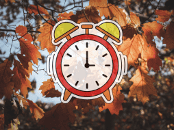 Al mediodía, la sombra será la más corta del año. UNSPLASH