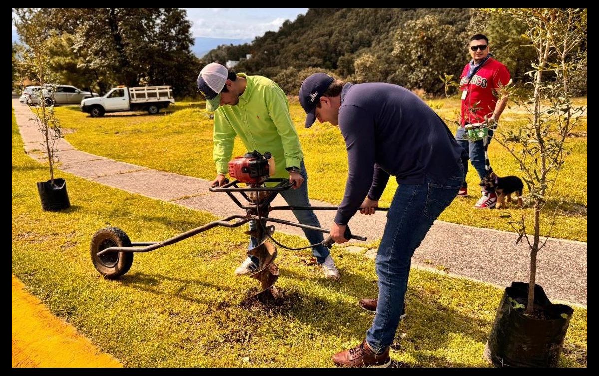 Se sembraron entre 10 mil y 20 ejemplares idóneos, de gran tamaño, endémicos y adaptables al cambio climático. CORTESÍA/GOBIERNO DE TLAJOMULCO
