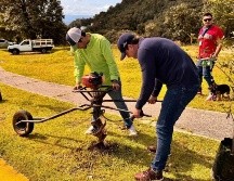 Se sembraron entre 10 mil y 20 ejemplares idóneos, de gran tamaño, endémicos y adaptables al cambio climático. CORTESÍA/GOBIERNO DE TLAJOMULCO