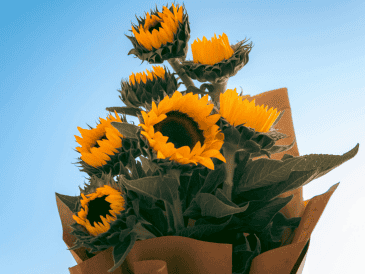 Esta fecha coincide con la llegada de la primavera en el hemisferio sur y con el equinoccio. ESPECIAL