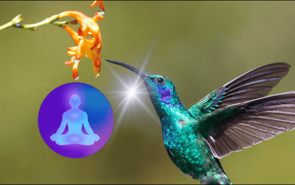 Hablar de un colibrí en el ámbito espiritual evoca armonía y transformación. Su simbolismo depende de la perspectiva cultural. UNSPLASH/ J. Wainscoat