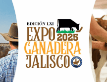 Con su ambiente familiar, su riqueza cultural y su importancia para el campo, la Expo Ganadera Jalisco 2025 se perfila como una cita imperdible en el calendario de ferias del estado. ESPECIAL