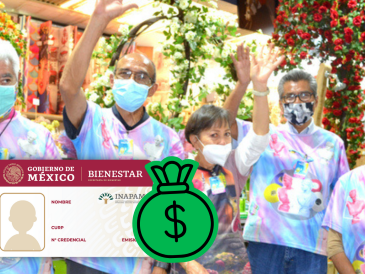 El Programa Vinculación Productiva promueve empleos remunerados y actividades voluntarias que generen un ingreso para los adultos mayores, conforme a su oficio, habilidad o profesión. INAPAM