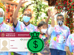 El Programa Vinculación Productiva promueve empleos remunerados y actividades voluntarias que generen un ingreso para los adultos mayores, conforme a su oficio, habilidad o profesión. INAPAM