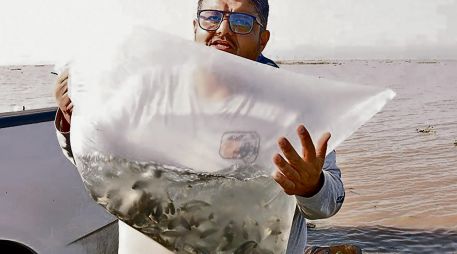 La iniciativa de SADER Jalisco y el municipio de Ocotlán beneficiará a más de 300 pescadores locales. ESPECIAL